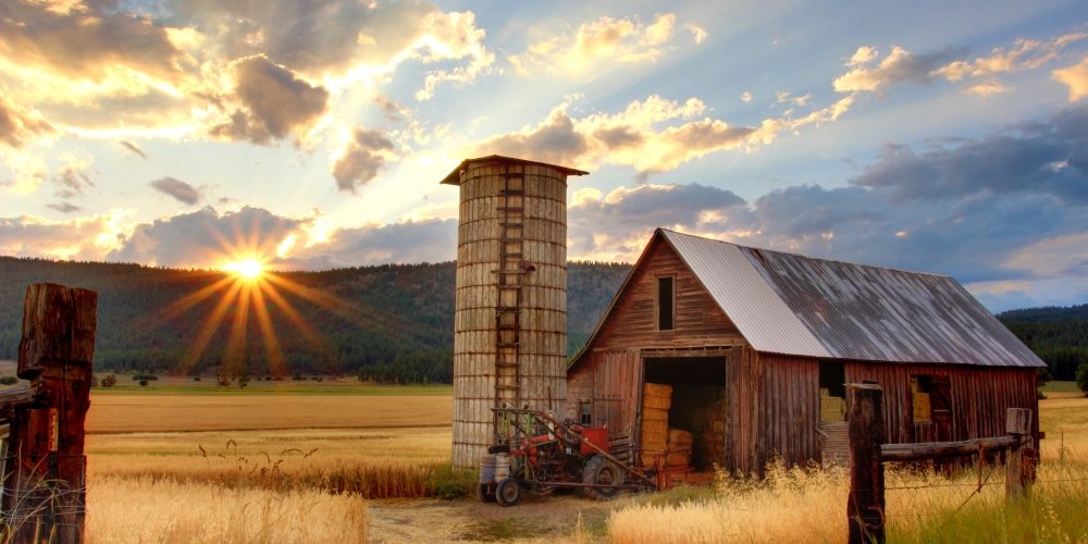 farm at sunrise