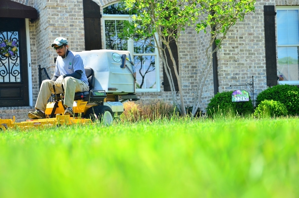 lawn care